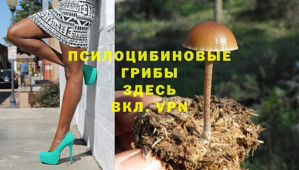 мдпв Абинск