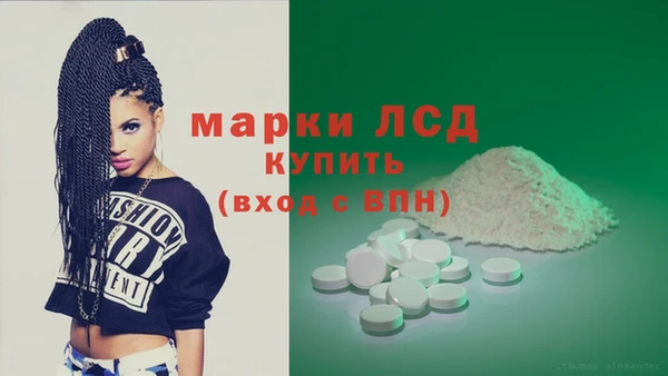 шишки Алзамай