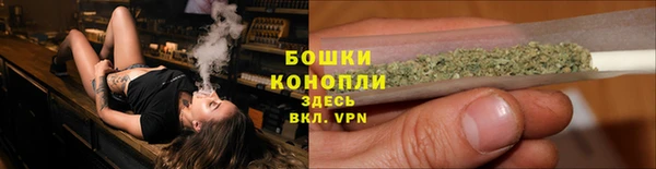 PSILOCYBIN Покачи