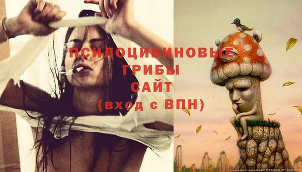 МДПВ Абдулино