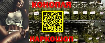 a pvp Славгород