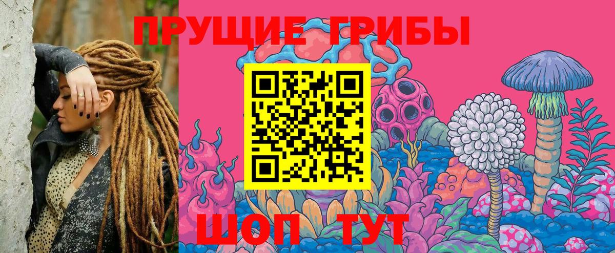 Новотроицк  Псилоцибиновые грибы мухоморы  Псилоцибиновые грибы Magic Shrooms  Вход с VPN 