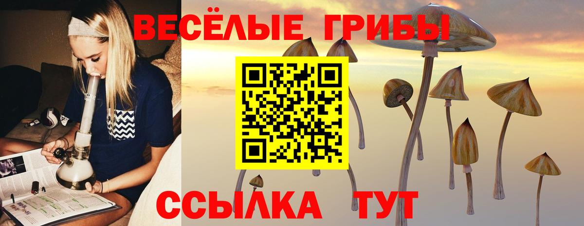 Галлюциногенные грибы ЛСД Новотроицк